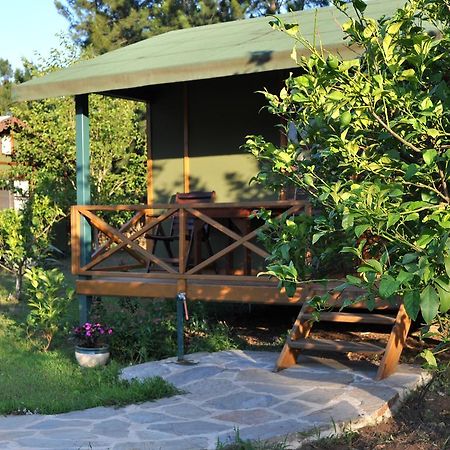 فندق Çıralıفي  Hobbit Evi الغرفة الصورة