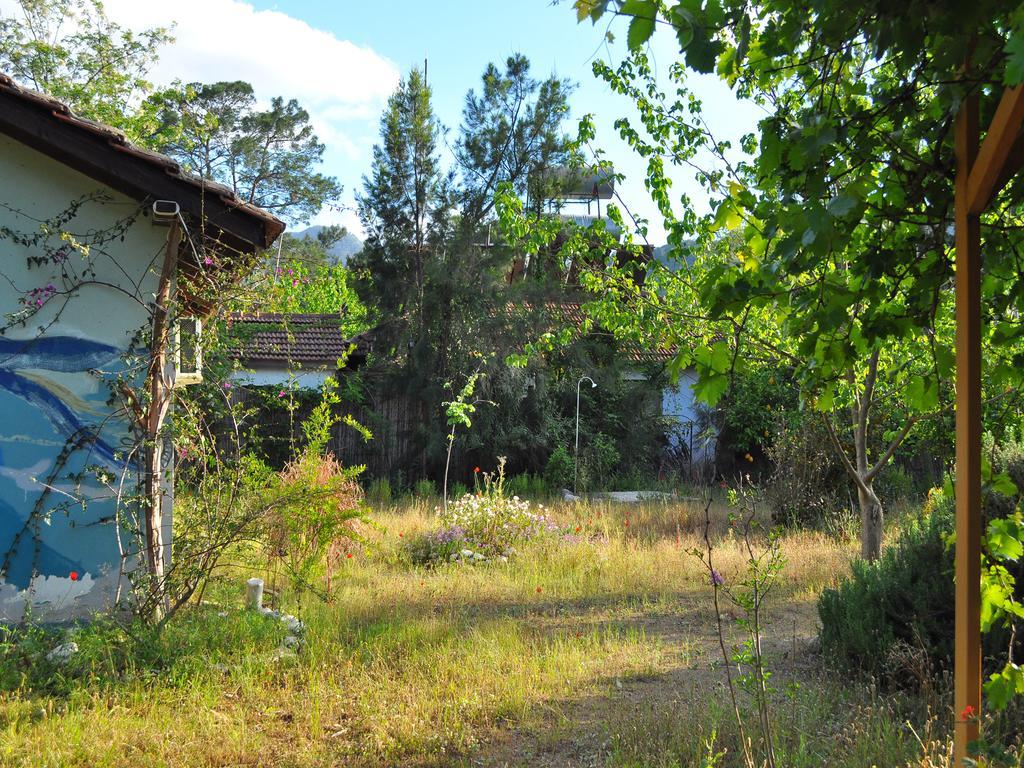 فندق Çıralıفي  Hobbit Evi المظهر الخارجي الصورة